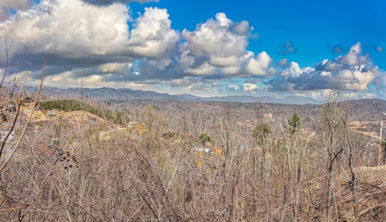 Smokey Treats Smokey Treats