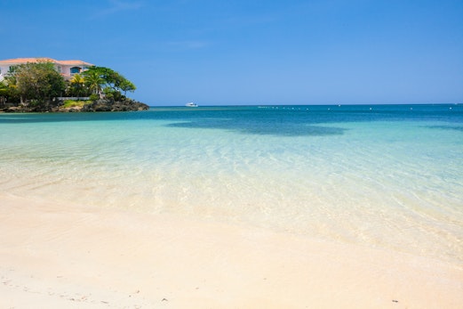 Coral Vista #4 - 50546 Coral Vista #4 - 50546