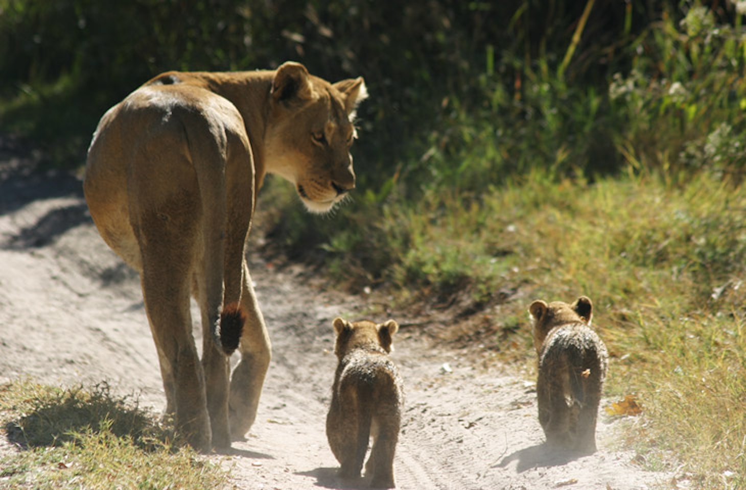 Tanzania