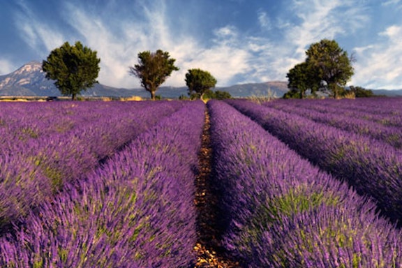 Provence, France