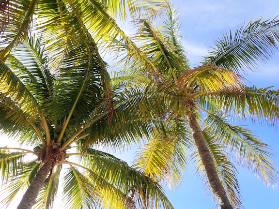 Key Largo, FL