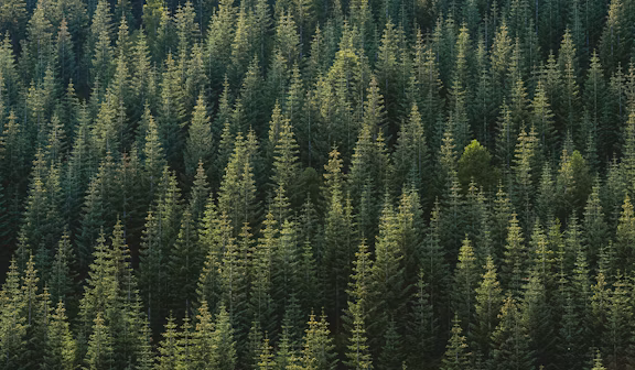Lake Tahoe, CA