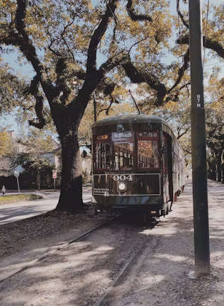 New Orleans, LA