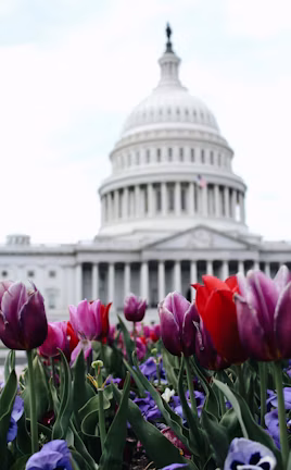 Washington, DC