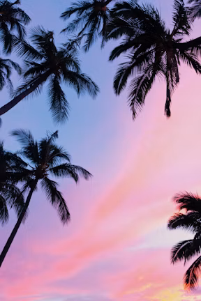 Fort Lauderdale, FL