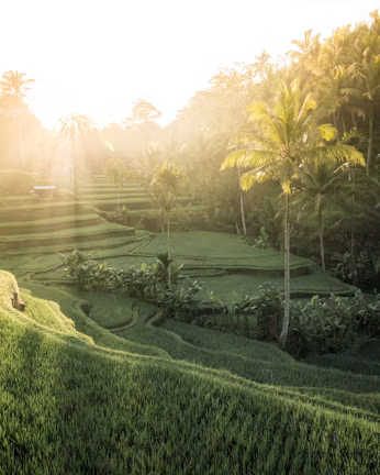 Bali