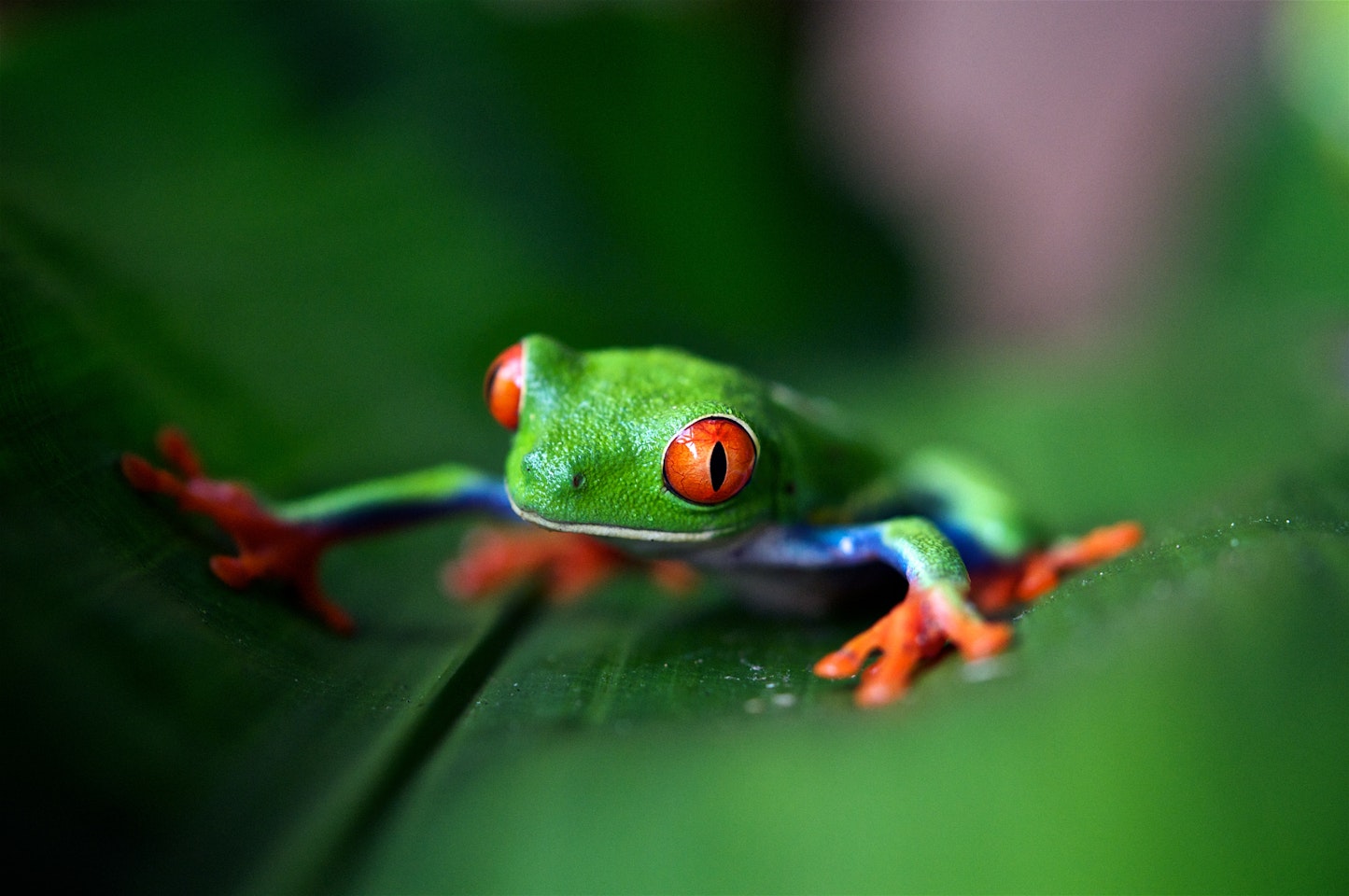 Costa Rica