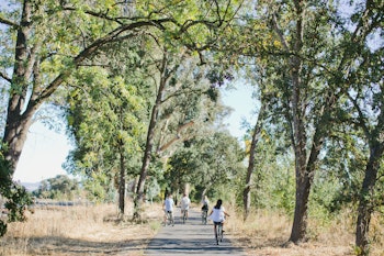 Napa Valley Bike Tour