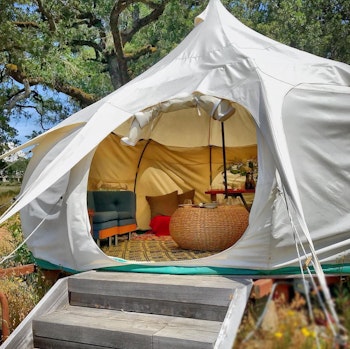 Bannister Wine Canvas Tent Expeirence