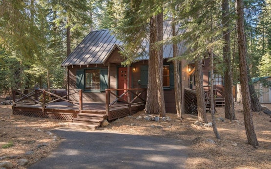 Owl's Peak | Private Pine Tree Cabin | Mins From The Water