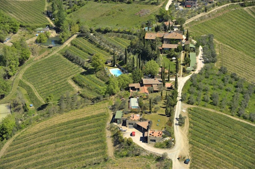 Villa Vigneto Estate