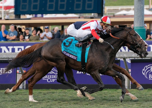 Breeders Cup Horse Race