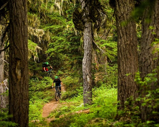 Squamish Mountain Bike & Brew Tour