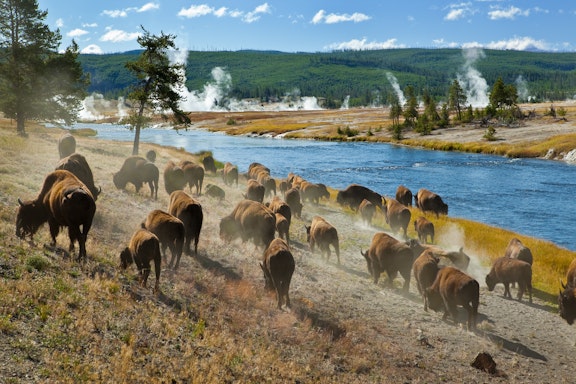 Three Night Jackson Hole and Yellowstone Active Escape