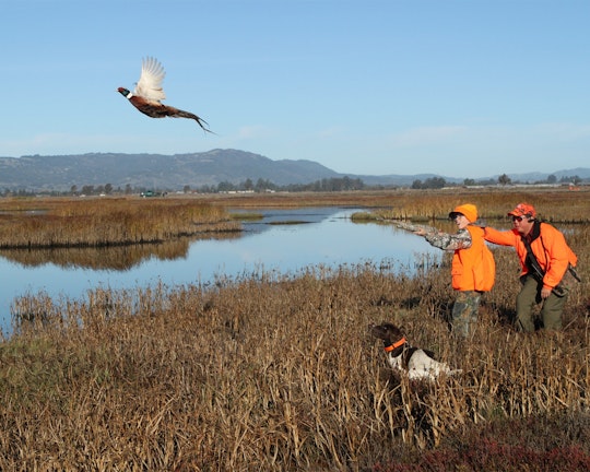 Southern California Pheasant Hunt