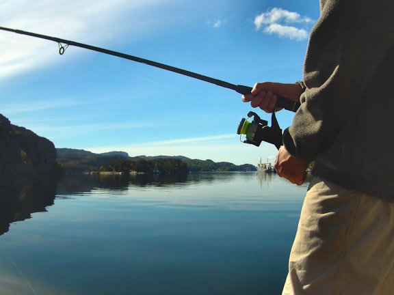 Rod and Reel Fishing Experience