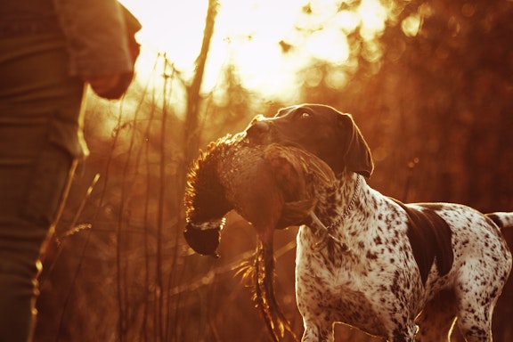 Central States Bird Hunt