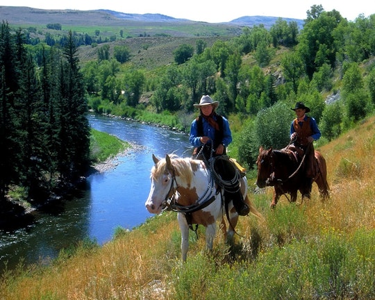 Canada Horseback Trail Ride (2 hours)