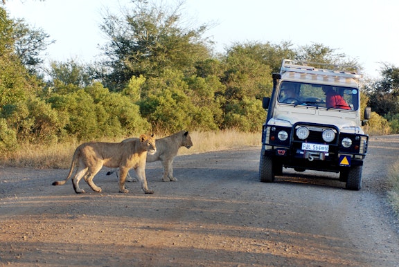 Six Night Johannesburg South African Safari