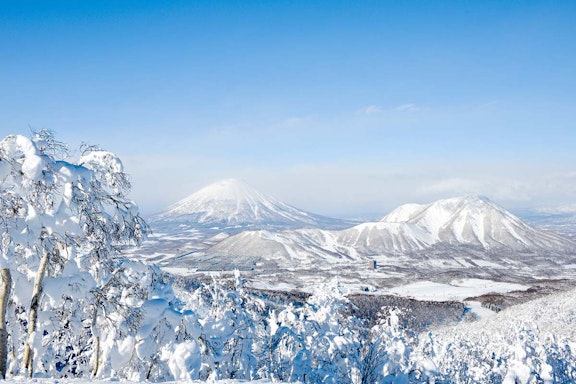 Five Night Niseko Village Ski