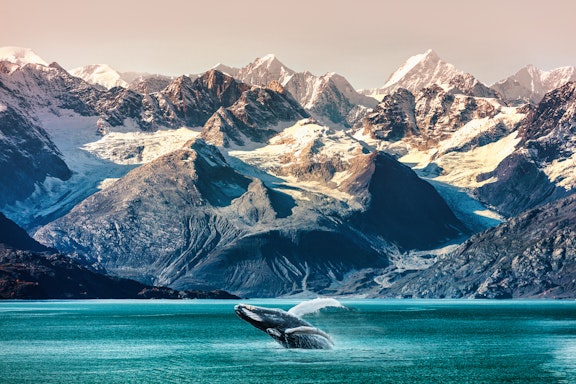 Seven Night Alaska Premium Luxury Cruise Voyage