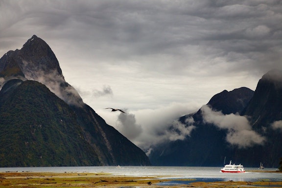 Australia and New Zealand Cruise