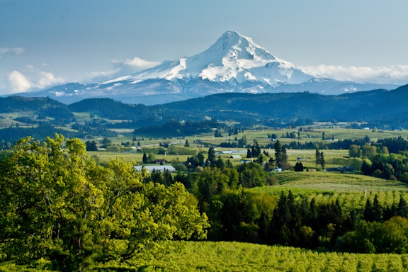 Oregon Wine Country