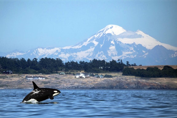 Tacoma, Washington and the Puget Sound